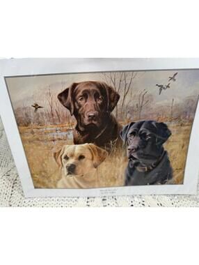 James Killen Marsh Masters Lab Dog Hunting Print